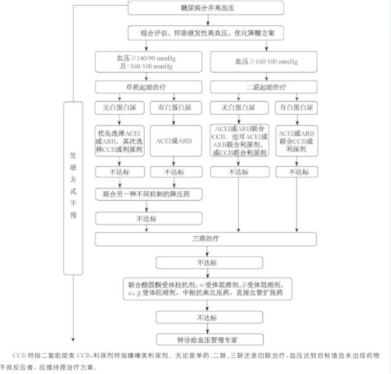 高血压合并糖尿病，如何兼顾降压疗效及靶器官保护